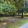 Vendita-APPARTAMENTO MULTILOCALE IN VILLA LIBERTY BIFAMILIARE .-Brescia-12853 - 1