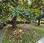 Vendita-APPARTAMENTO MULTILOCALE IN VILLA LIBERTY BIFAMILIARE .-Brescia-12853 - 25