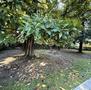 Vendita-APPARTAMENTO MULTILOCALE IN VILLA LIBERTY BIFAMILIARE .-Brescia-12853 - 3