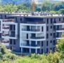 Vendita-ATTICO TRILOCALE CON  TERRAZZO-Brescia-12719 - 30