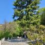 Vendita-Brescia Panoramica Villa con splendida vista sulla città-Brescia-12899 - 27