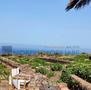 Vendita-Pantelleria  signorile Dammuso-Pantelleria-12780 - 13