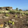 Vendita-Pantelleria  signorile Dammuso-Pantelleria-12780 - 14