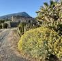 Vendita-Pantelleria  signorile Dammuso-Pantelleria-12780 - 2