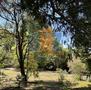 Vendita-PRESTIGIOSA VILLA CON PARCO-Brescia-12525 - 20