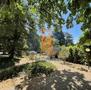Vendita-PRESTIGIOSA VILLA CON PARCO-Brescia-12525 - 5