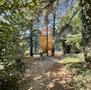 Vendita-PRESTIGIOSA VILLA CON PARCO-Brescia-12525 - 8