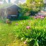 Vendita-SPAZIOSO TRILOCALE CON BALCONE E GIARDINO-Gussago-12793 - 1