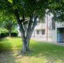 Vendita-SPAZIOSO TRILOCALE CON BALCONE E GIARDINO-Gussago-12793 - 4